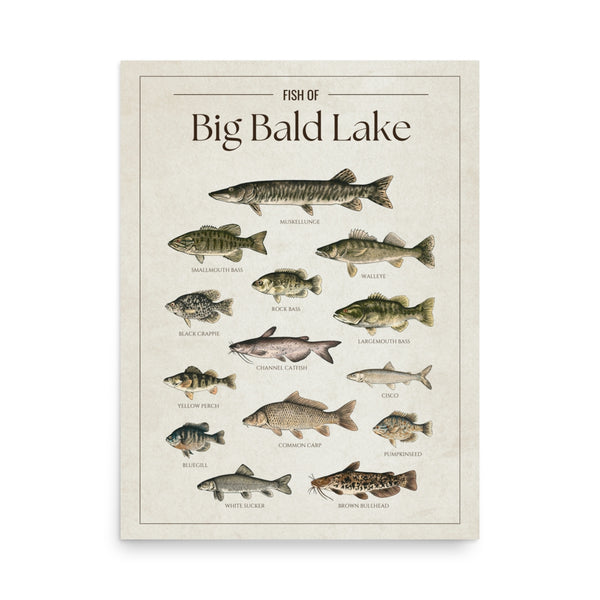 Big Bald Lake Print