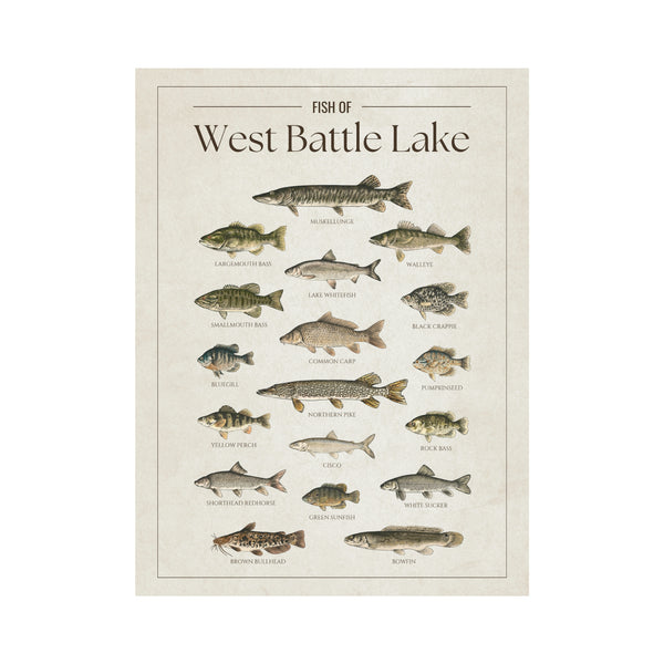 West Battle Lake Print