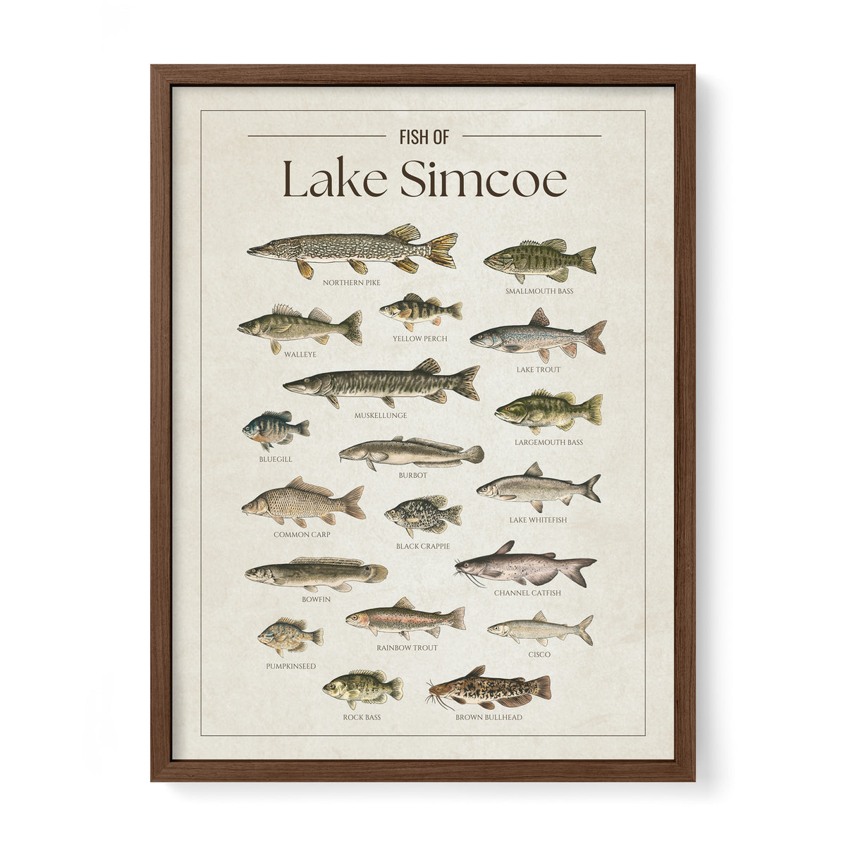 Lake Simcoe Print – Fish Prints