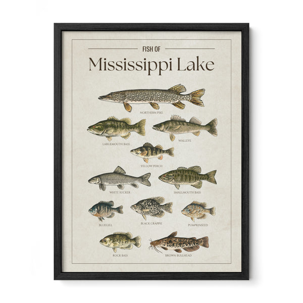 Mississippi Lake Print