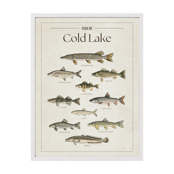 Cold Lake Print