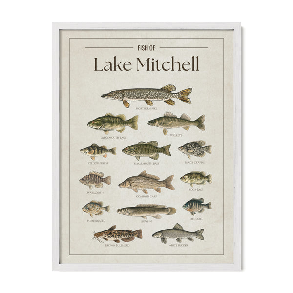 Lake Mitchell Print