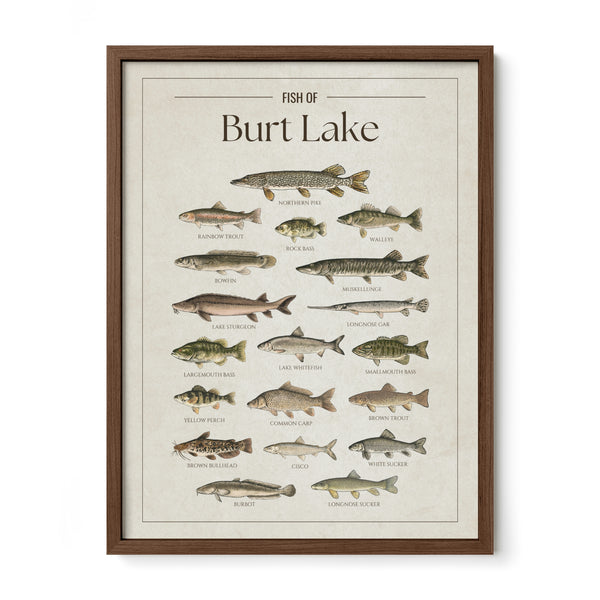 Burt Lake Print