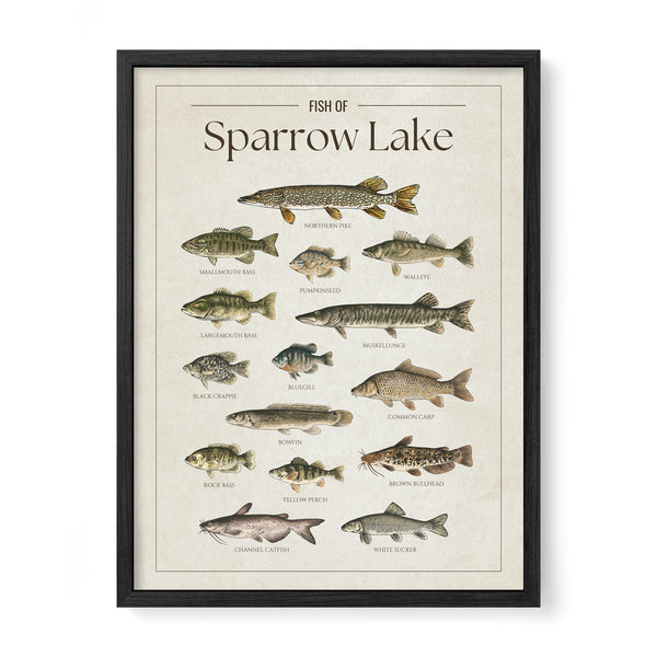 Sparrow Lake Print