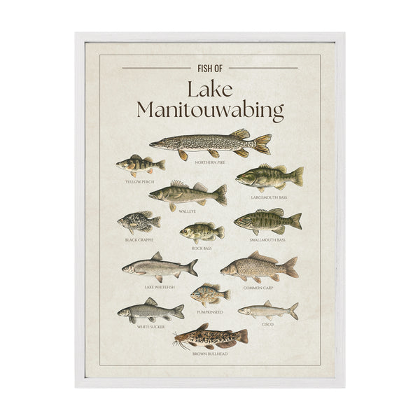Lake Manitouwabing Print
