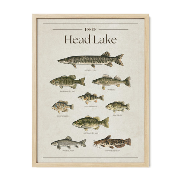 Head Lake Print