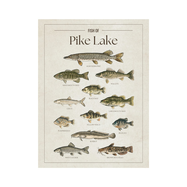 Pike Lake Print