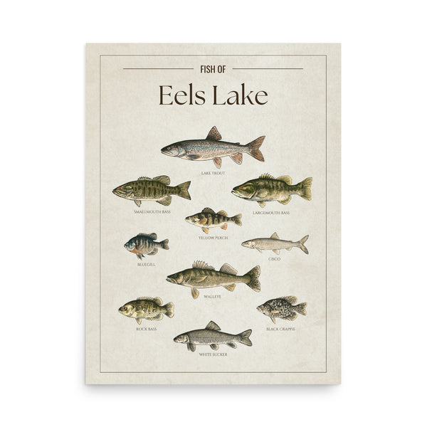 Eels Lake Print