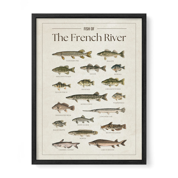 French River Print