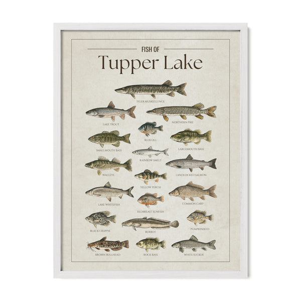Tupper Lake Print