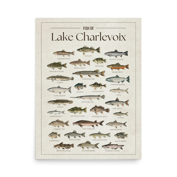 Lake Charlevoix Print