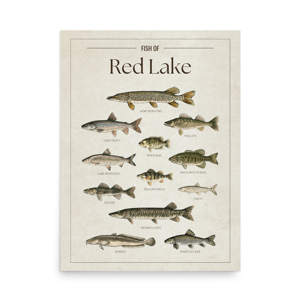Red Lake Print