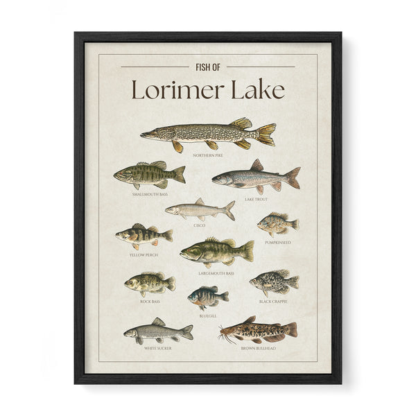 Lorimer Lake Print