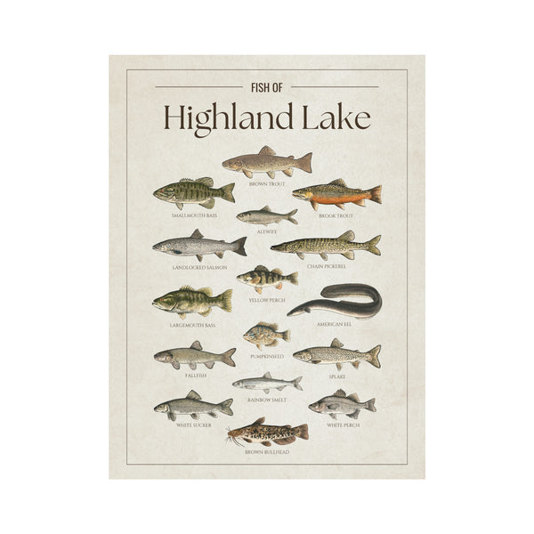 Highland Lake Print