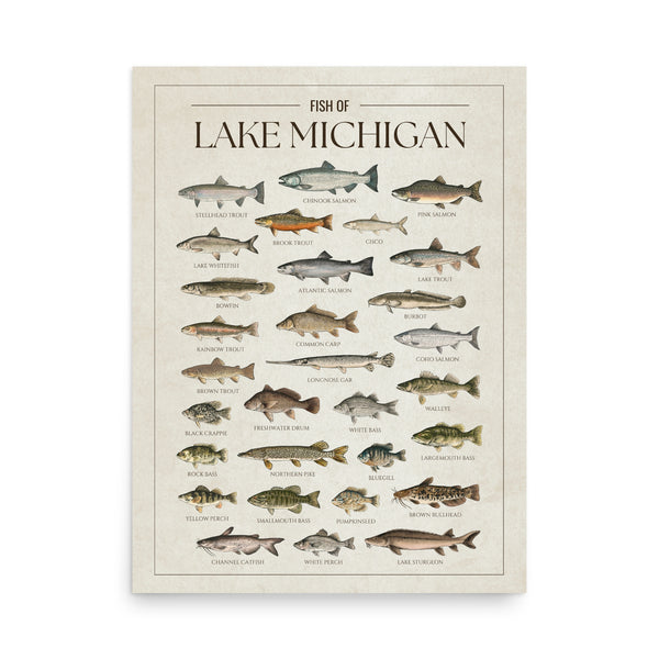 Lake Michigan Print