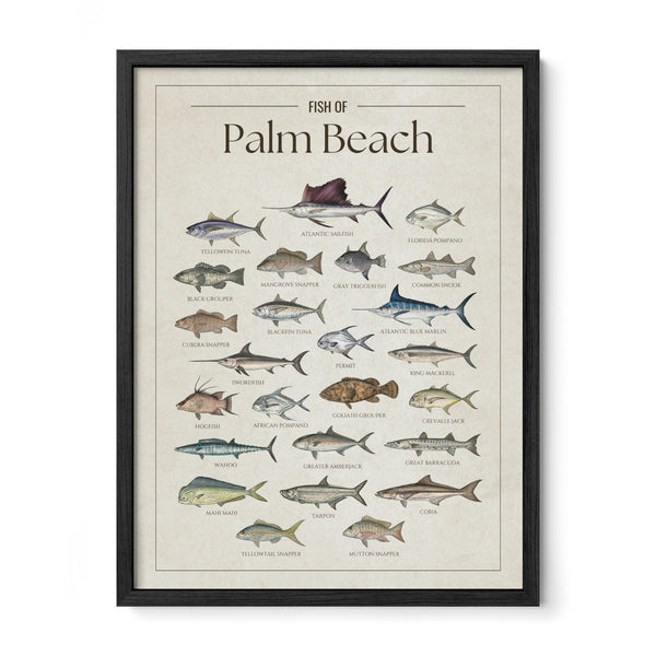 Palm Beach Print