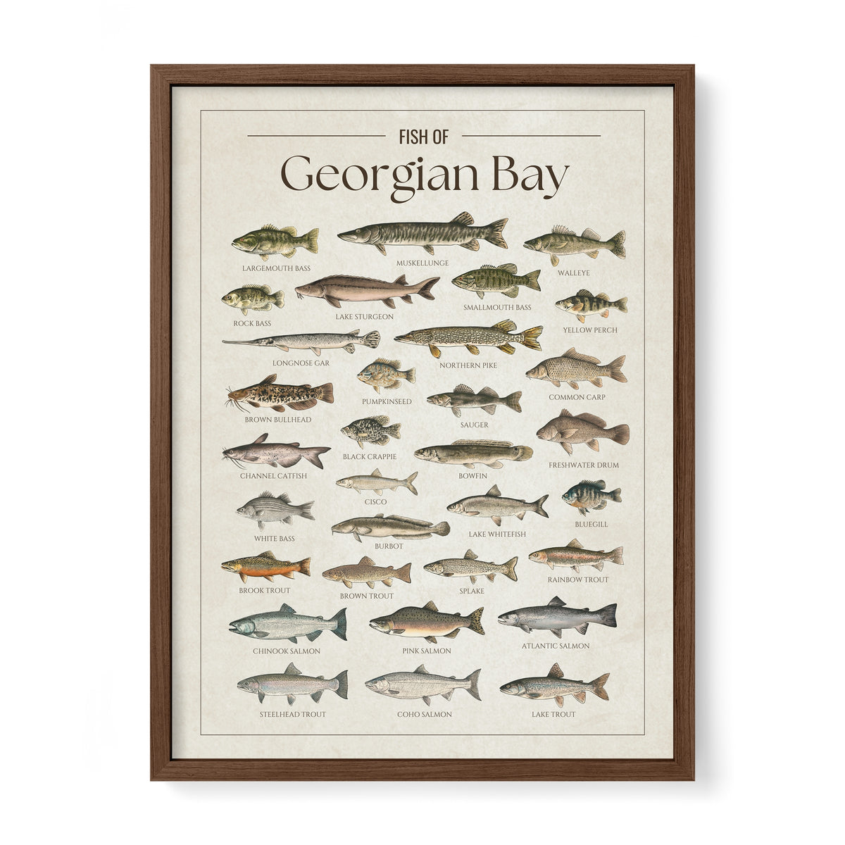 Georgian Bay Print – Fish Prints