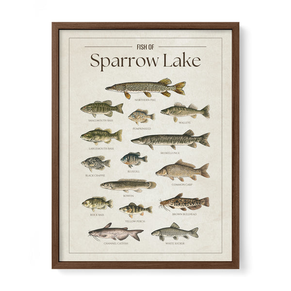 Sparrow Lake Print