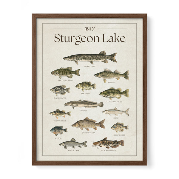 Sturgeon Lake Print