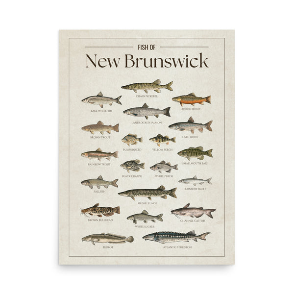 New Brunswick Print