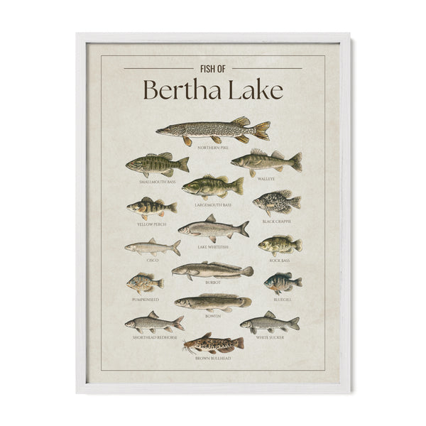 Bertha Lake Print