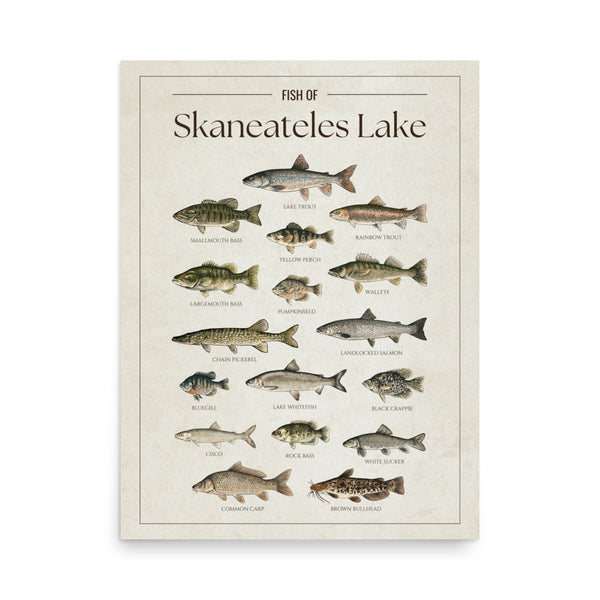 Skaneateles Lake Print