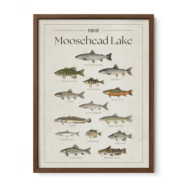 Moosehead Lake Print