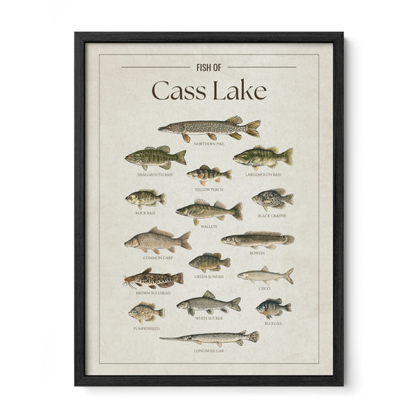 Cass Lake Print