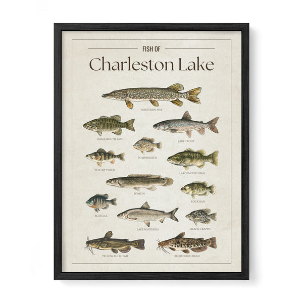 Charleston Lake Print