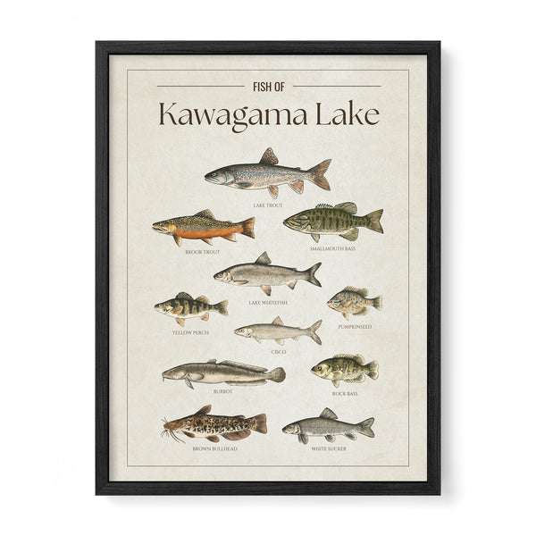 Kawagama Lake Print