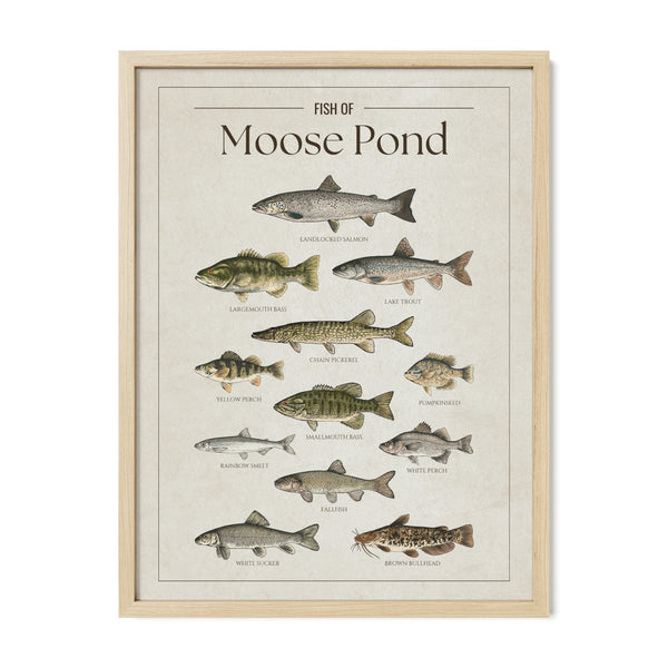Moose Pond Print