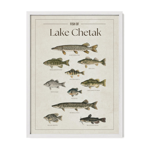 Lake Chetak Print