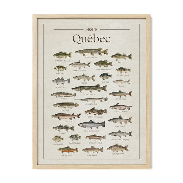 Québec Print