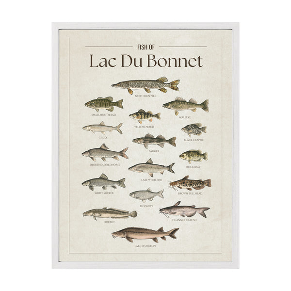 Lac Du Bonnet Print