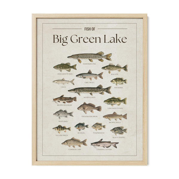 Big Green Lake Print