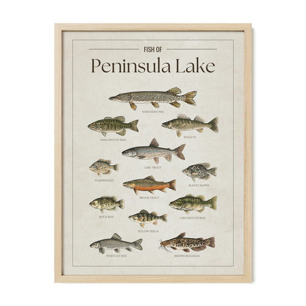 Peninsula Lake Print