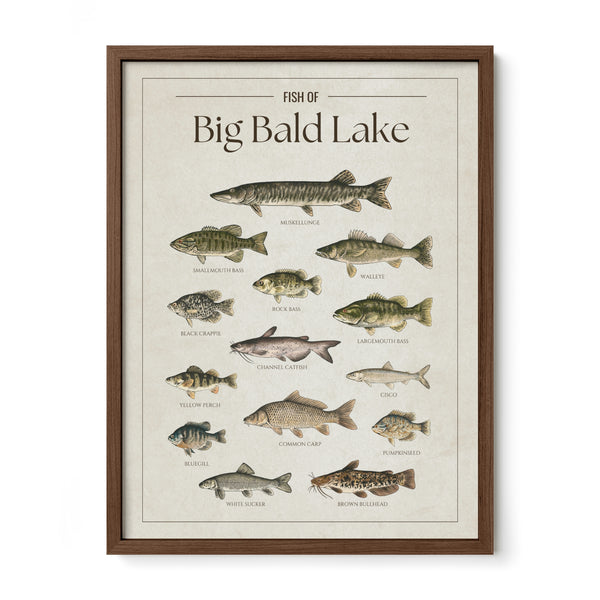 Big Bald Lake Print