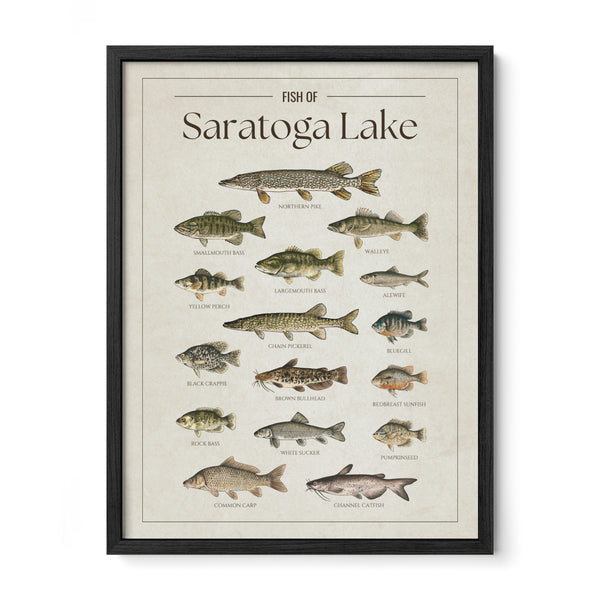 Saratoga Lake Print