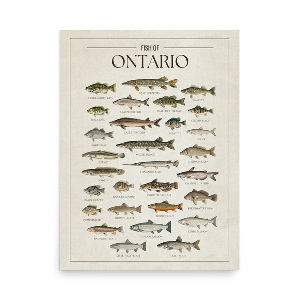 Ontario Print