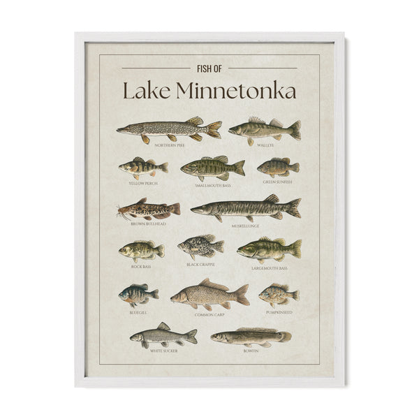 Lake Minnetonka Print