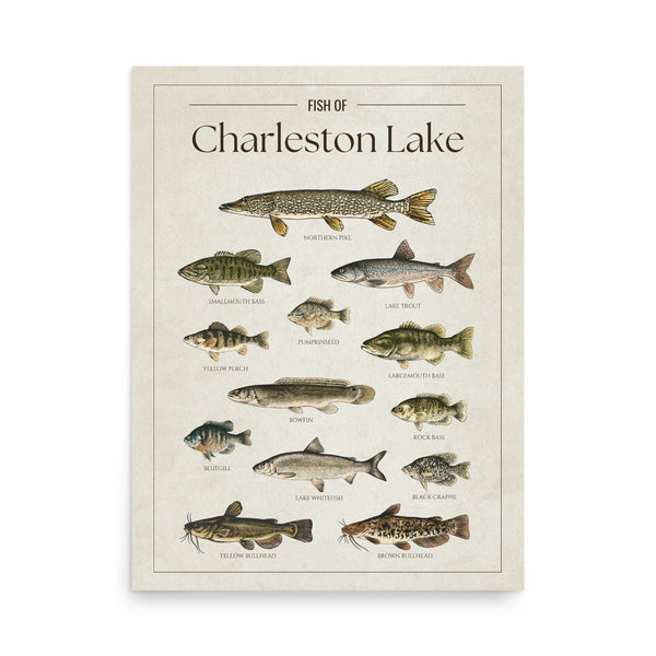 Charleston Lake Print