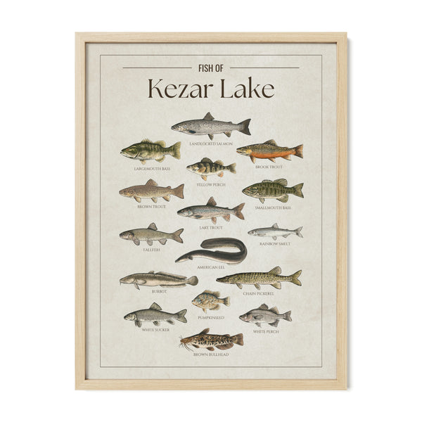 Kezar Lake Print