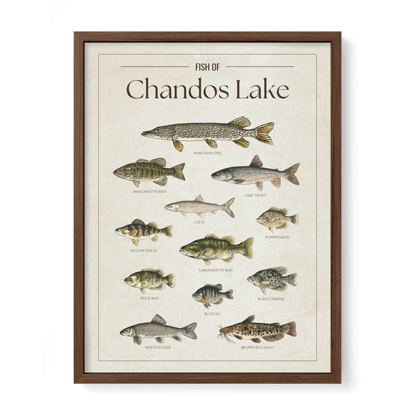 Chandos Lake Print