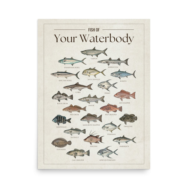 Custom Saltwater Fish Chart