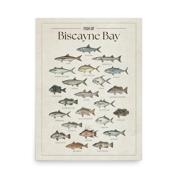 Biscayne Bay Print