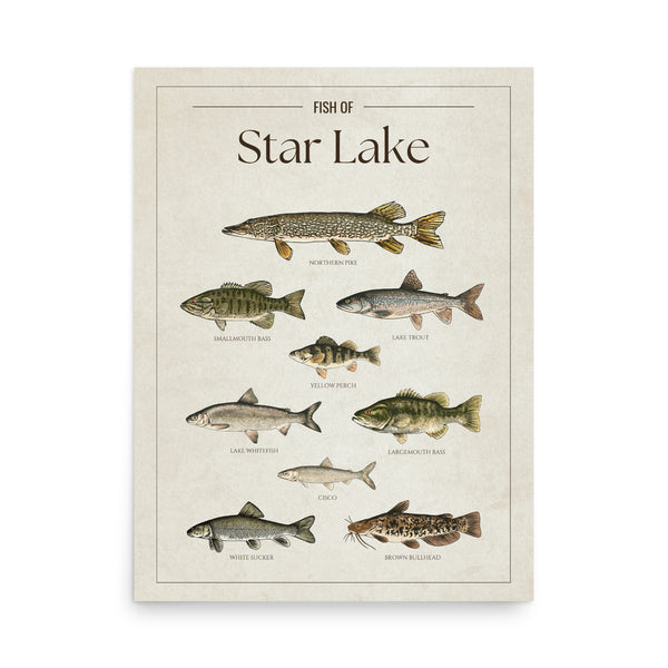 Star Lake Print
