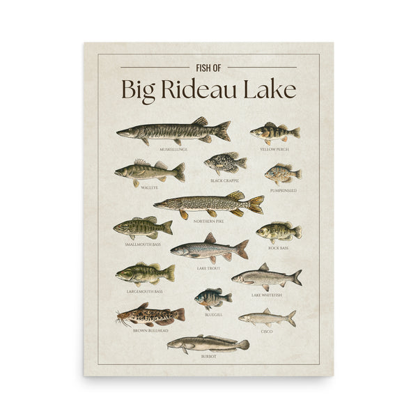 Big Rideau Lake Print