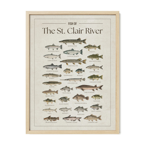 St. Clair River Print