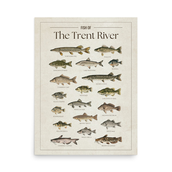 Trent River Print