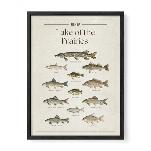 Lake of the Prairies Print